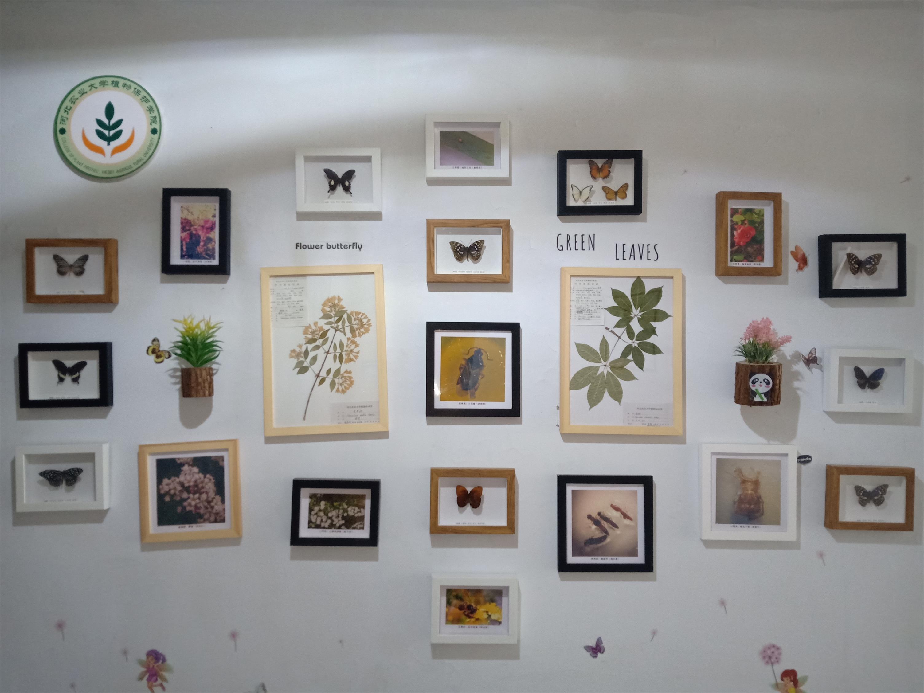 走进特色植保,展现专业魅力,3044永利集团积极开展员工宿舍文化装饰工作 (1).jpg 走进特色植保,展现专业魅力,3044永利集团积极开展员工宿舍文化装饰工作 (1).jpg